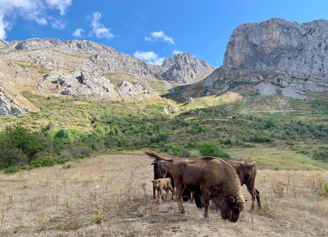 Los Toriles Los Espejos de la Reina Kültér fotó
